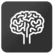 Virtual Brain